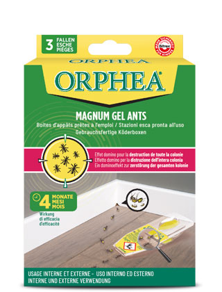 Orphea protezione casa: esca formiche